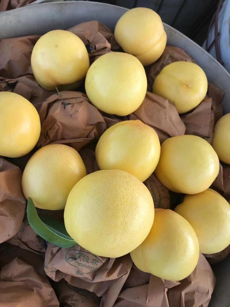 精品黄油桃大量上市品质保证诚信经营一手货源欢迎采购