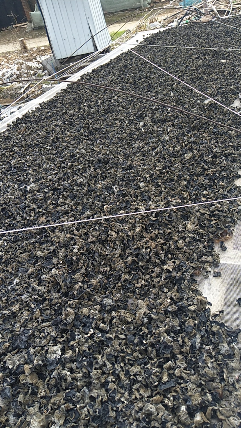 黑龙江木耳牡丹江第一茬黑木耳质量高产地直供欢迎来电