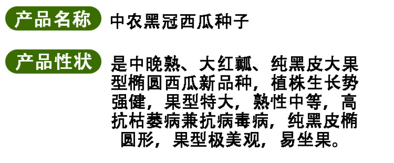 中农黑冠西瓜种籽抗病高产大果型西瓜种子基地优品全国可种