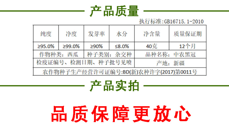 中农黑冠西瓜种籽抗病高产大果型西瓜种子基地优品全国可种
