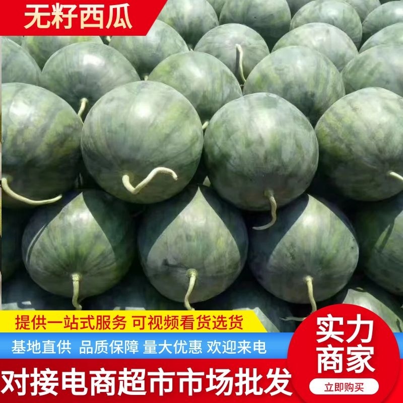 陕西黑皮无籽西瓜货源充足量大从优个大皮薄口感好糖高