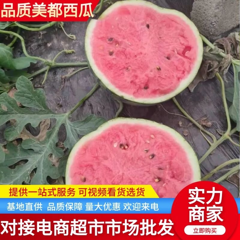 陕西精品无籽美都4K西瓜，产地直发，口感好，皮薄红壤