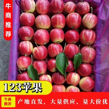 123苹果（本地区由于气候原因，成熟早，质量优质）