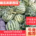 西瓜美都西瓜京欣红土地直播头茬瓜可打托盘