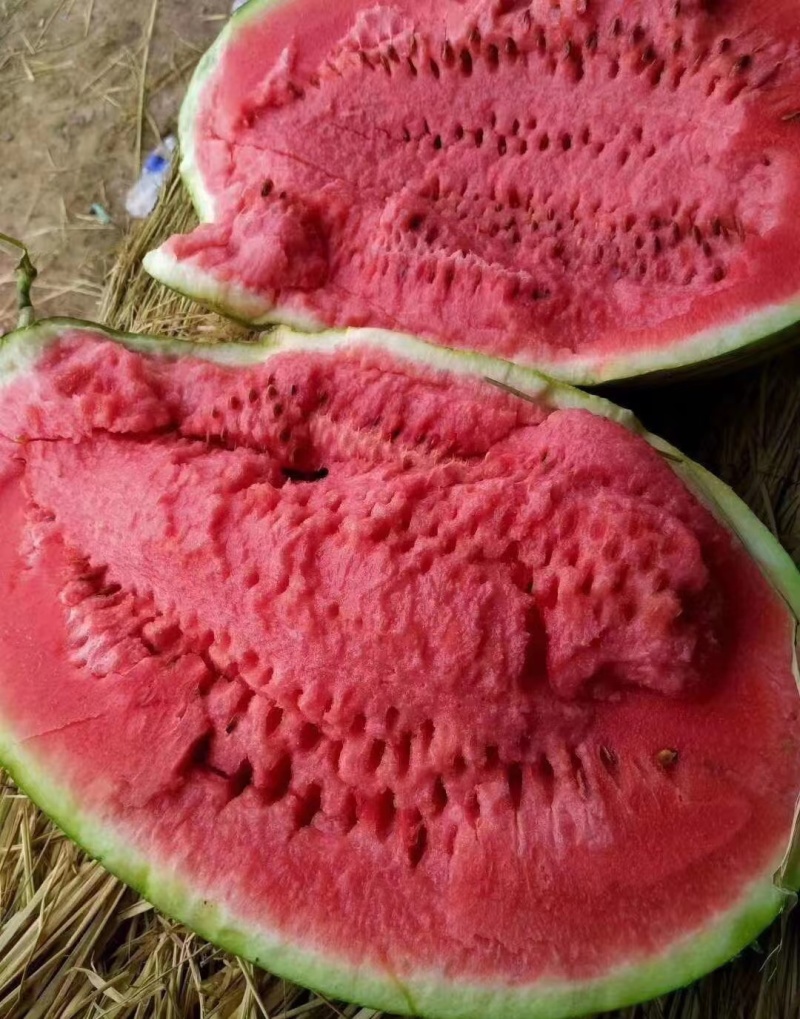 宁夏中卫精品【硒砂瓜】现摘现发皮薄多汁口感甘甜