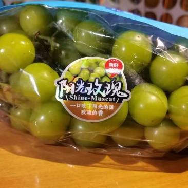标签阳光玫瑰亮光材质+UV品种齐全，量大从优
