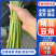 青条豆角新鲜豆角安徽豆角实力代收，找实力买家长期供应