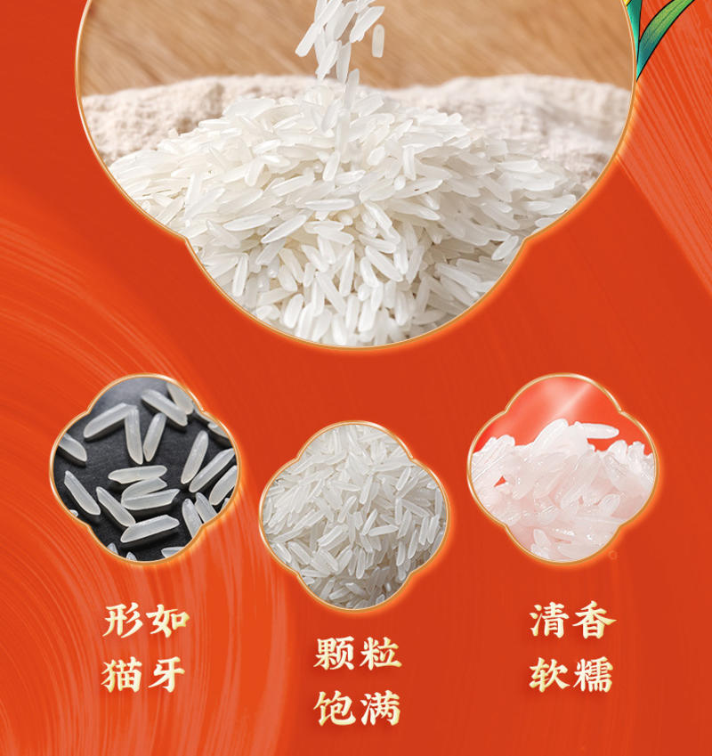 猫牙米10斤新米长粒米煲仔饭真空包装厂家批发一件代发