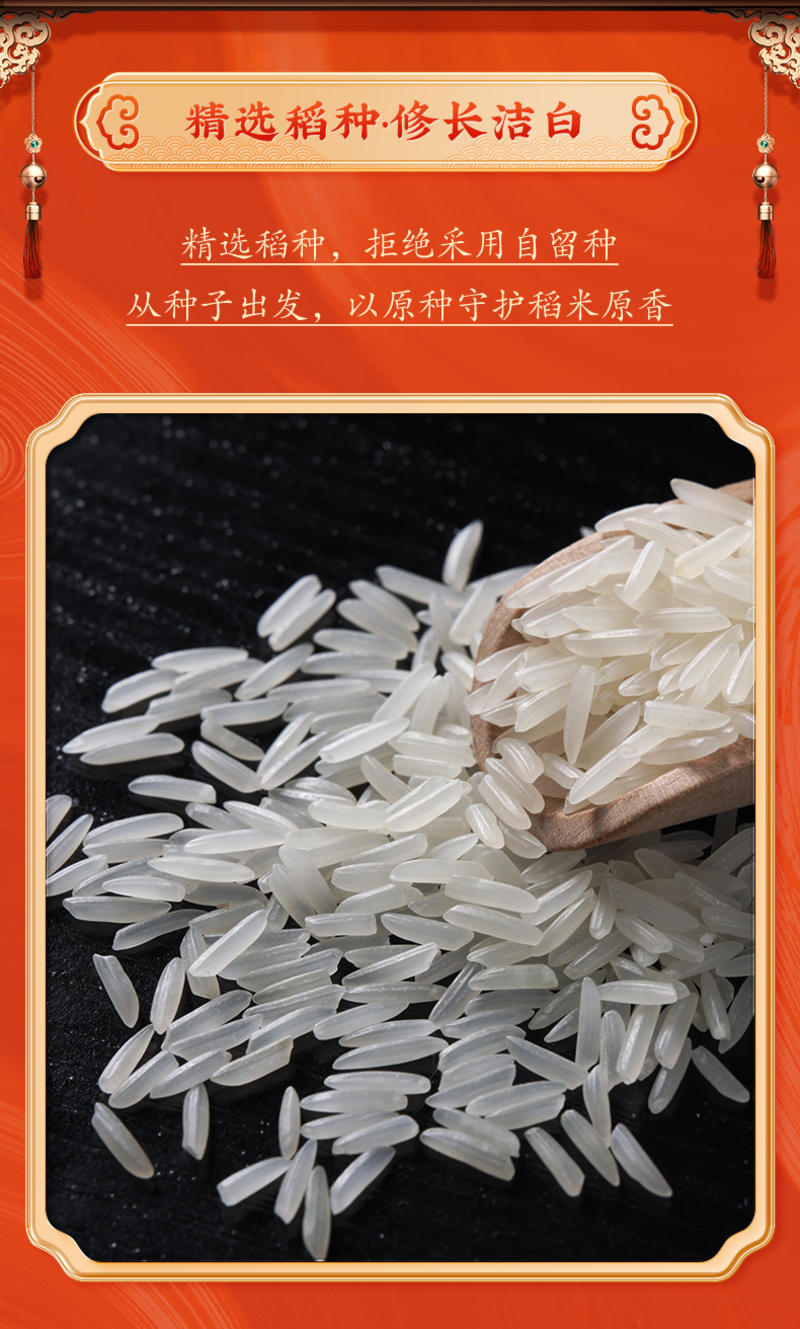 猫牙米10斤新米长粒米煲仔饭真空包装厂家批发一件代发