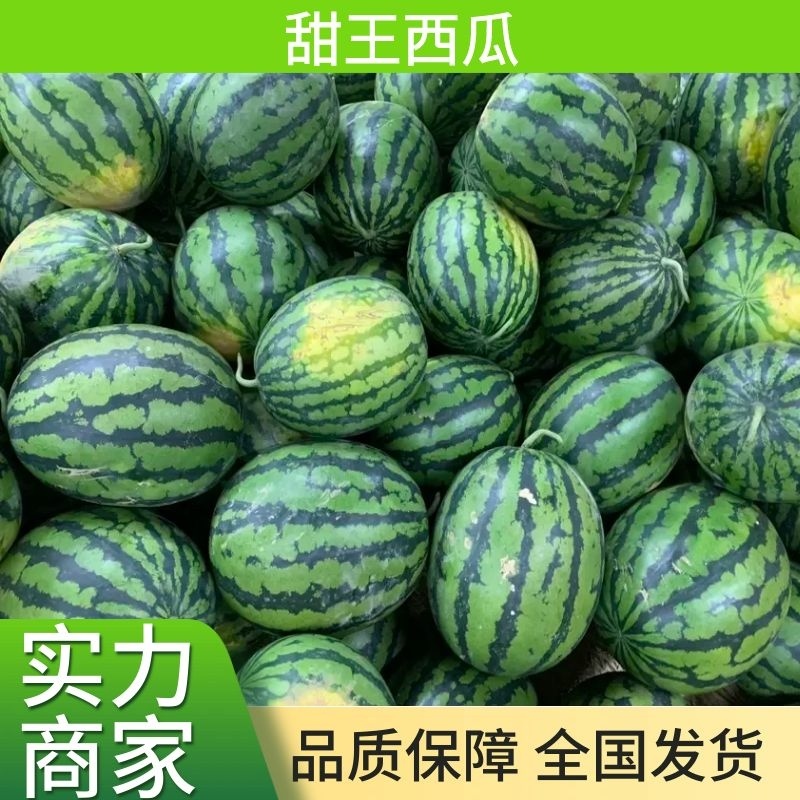 【实力店铺】甜王西瓜实力代办产地直发批发全国大量发货