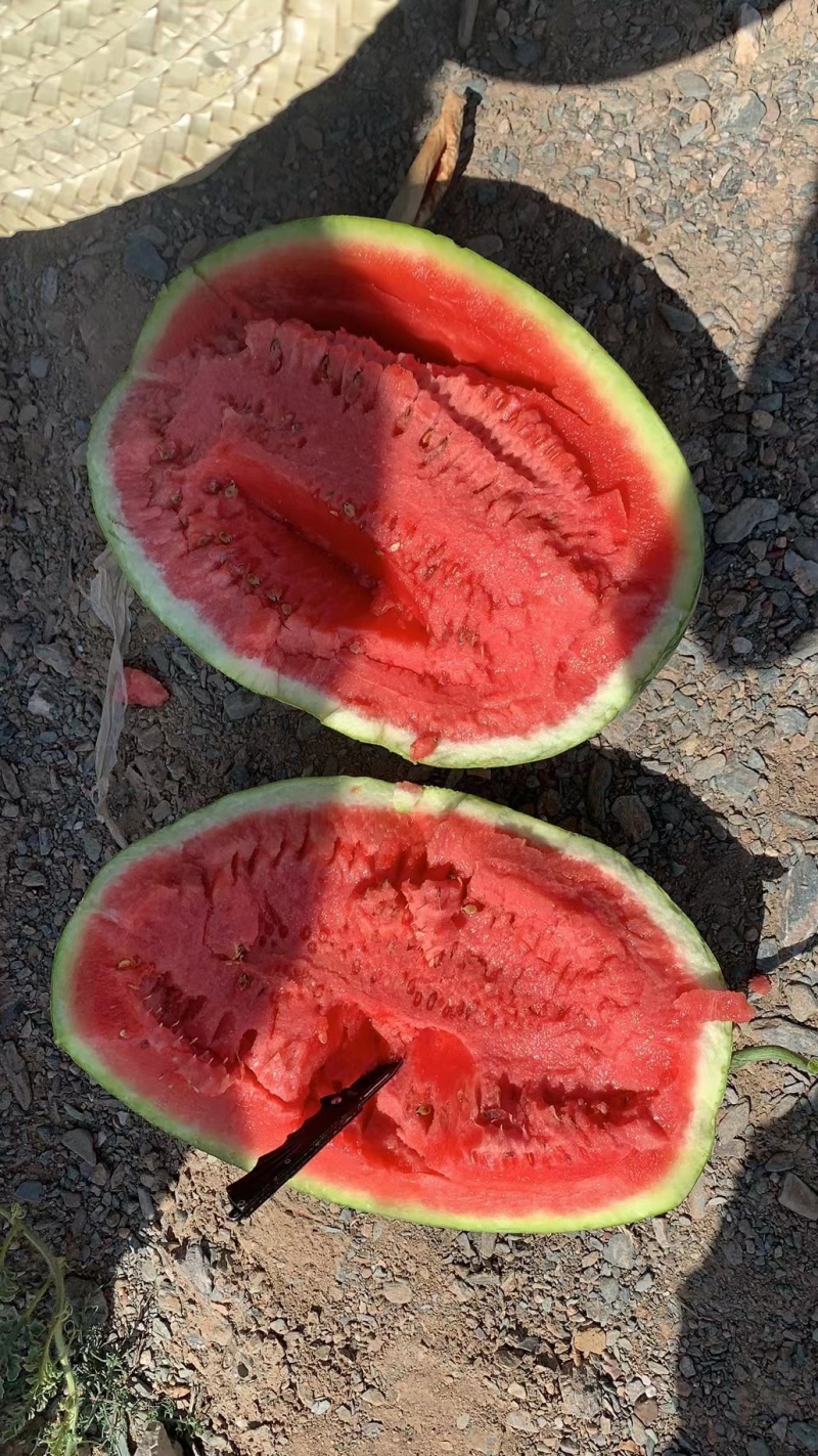 宁夏硒砂瓜，宁夏西瓜大量上市，品质保证，精选