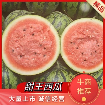 山东西瓜聊城甜王西瓜产地直采保质保量欢迎老板来电订购