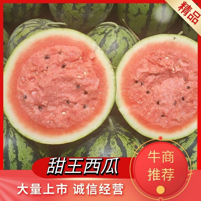 山东西瓜聊城甜王西瓜产地直采保质保量欢迎老板来电订购