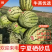宁夏硒砂瓜，宁夏西瓜大量上市，品质保证，精选