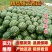 《强烈推荐》全国西瓜,甜王西瓜,麒麟西瓜品质好专业代发