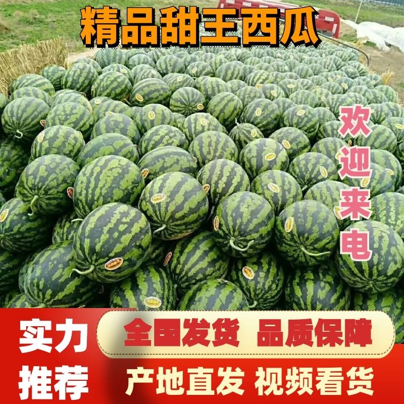 《强烈推荐》全国西瓜，甜王西瓜，麒麟西瓜品质好专业代发