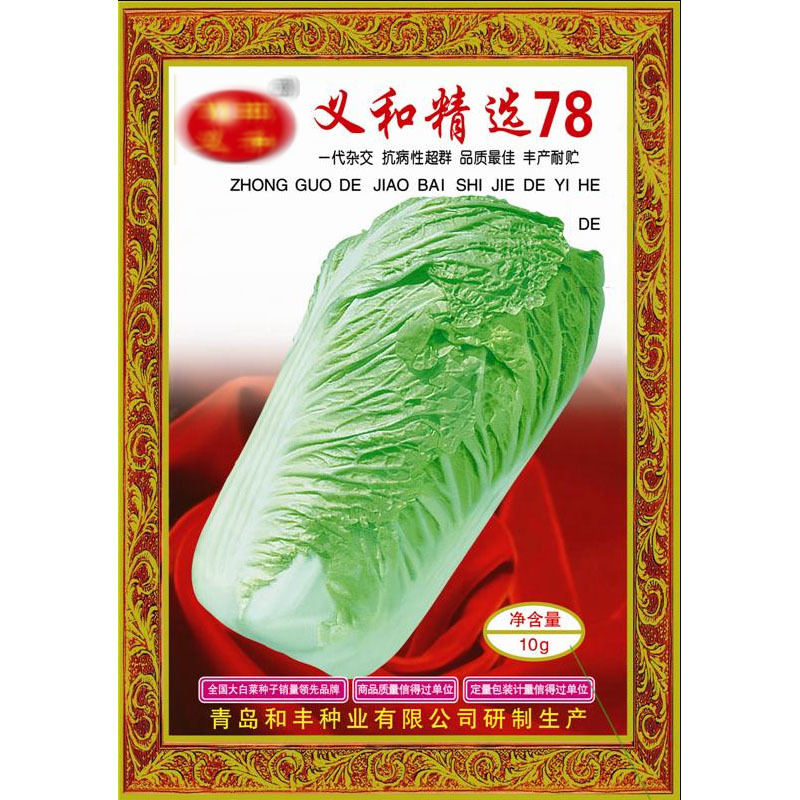 义和秋大白菜种子胶白8号义和78老品牌北方秋季精品