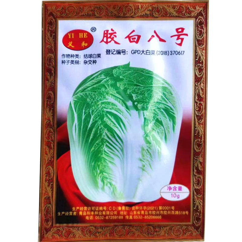 义和秋大白菜种子胶白8号义和78老品牌北方秋季精品