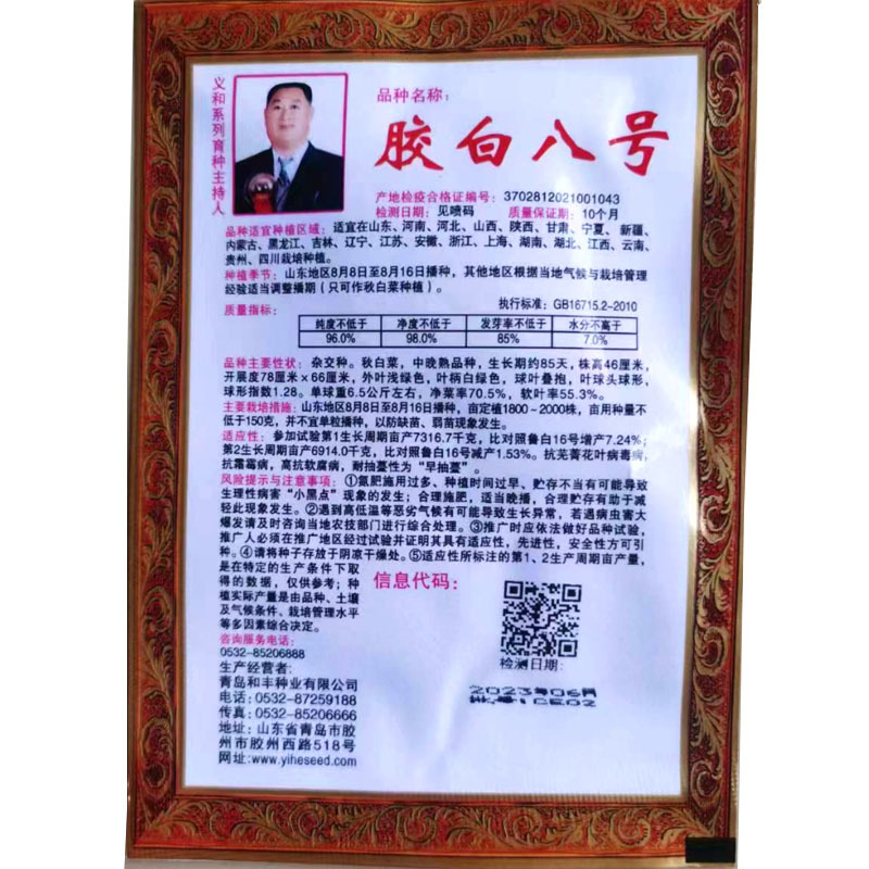 义和秋大白菜种子胶白8号义和78老品牌北方秋季精品