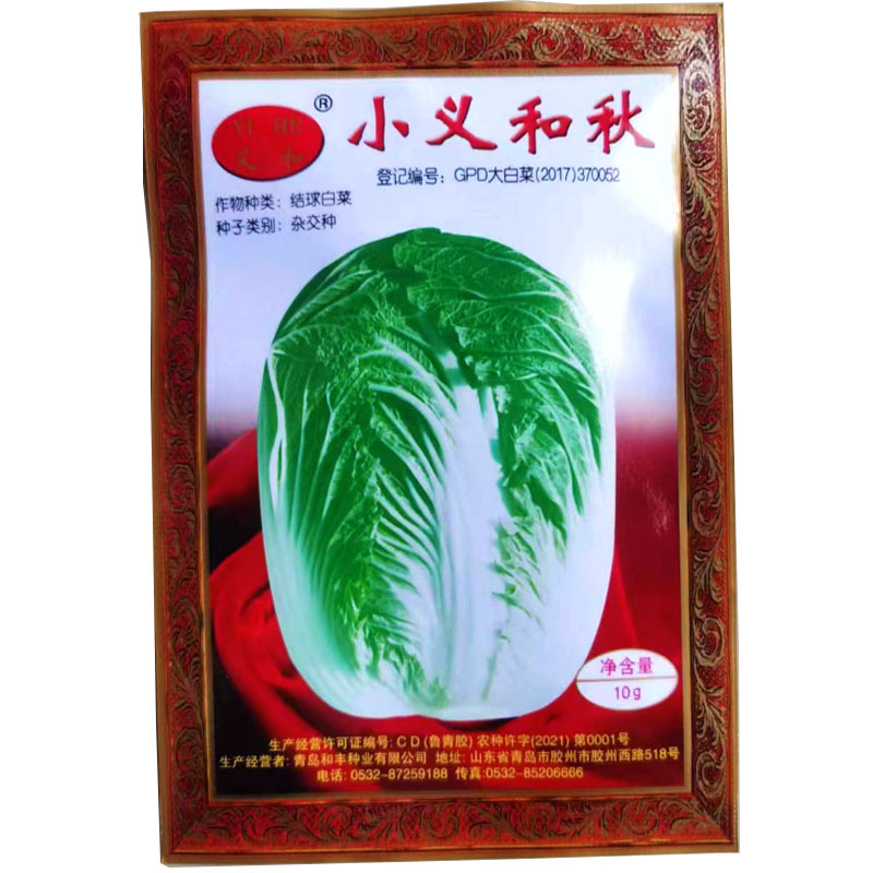 义和秋大白菜种子胶白8号义和78老品牌北方秋季精品