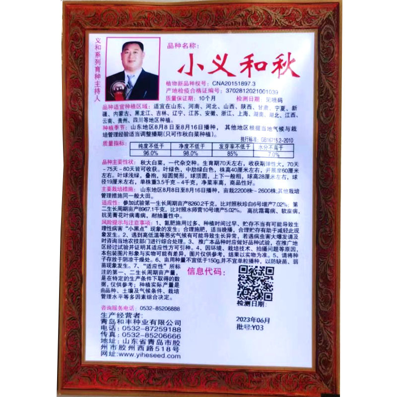 义和秋大白菜种子胶白8号义和78老品牌北方秋季精品