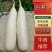 白萝卜，高山精品，大量有货，价格优惠，欢迎大家咨询订购！