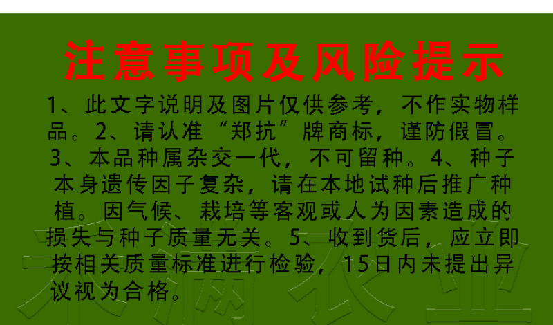 中农黑冠西瓜种籽抗病高产大果型西瓜种子基地优品全国可种