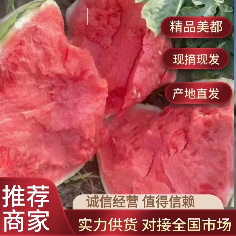 【精品无籽美都西瓜精品西瓜口感爽甜欢迎产地直发