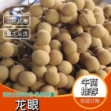 高州石硖，储良龙眼，产地直供，统果，园子货，都能统一安排