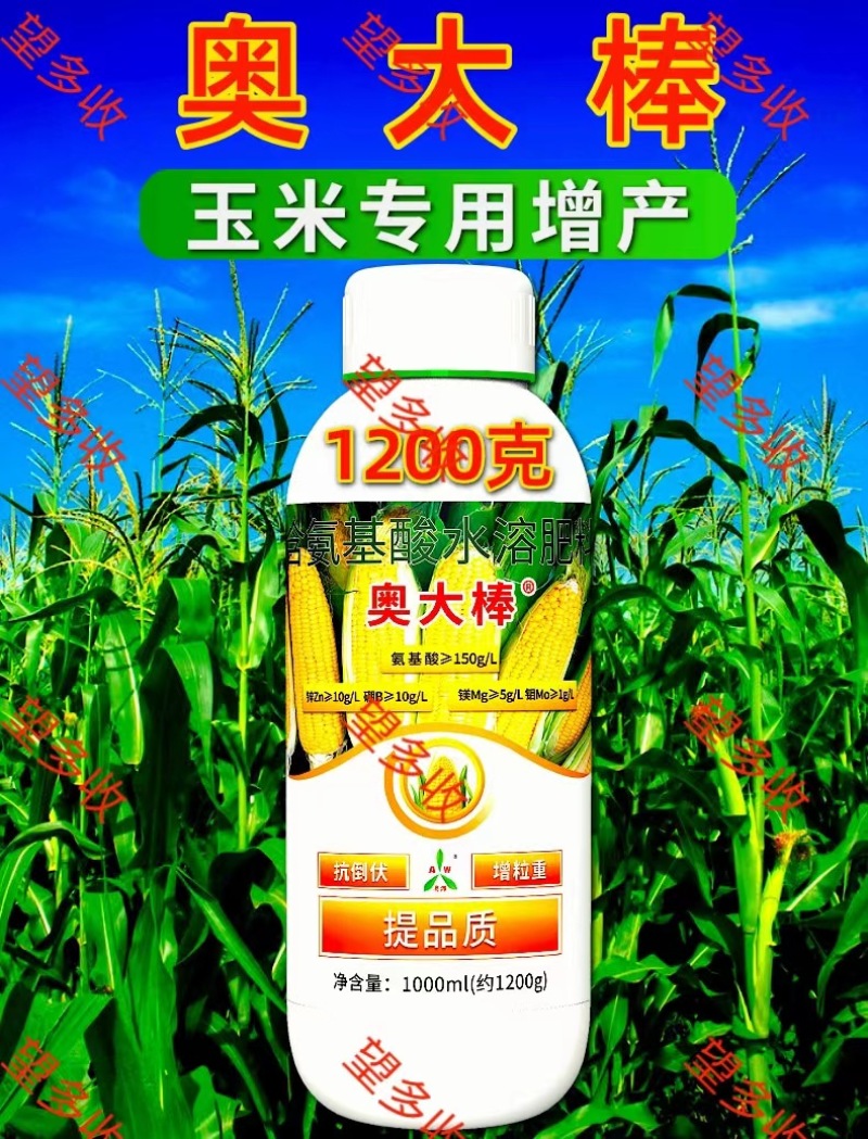 奥丰奥大棒玉米增产专用叶面肥籽粒饱满增粒重提产量抗倒伏