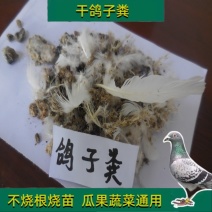 鸽子粪肥颗粒生物有机肥干粪农家花肥养花种菜肥家用肥料颗粒