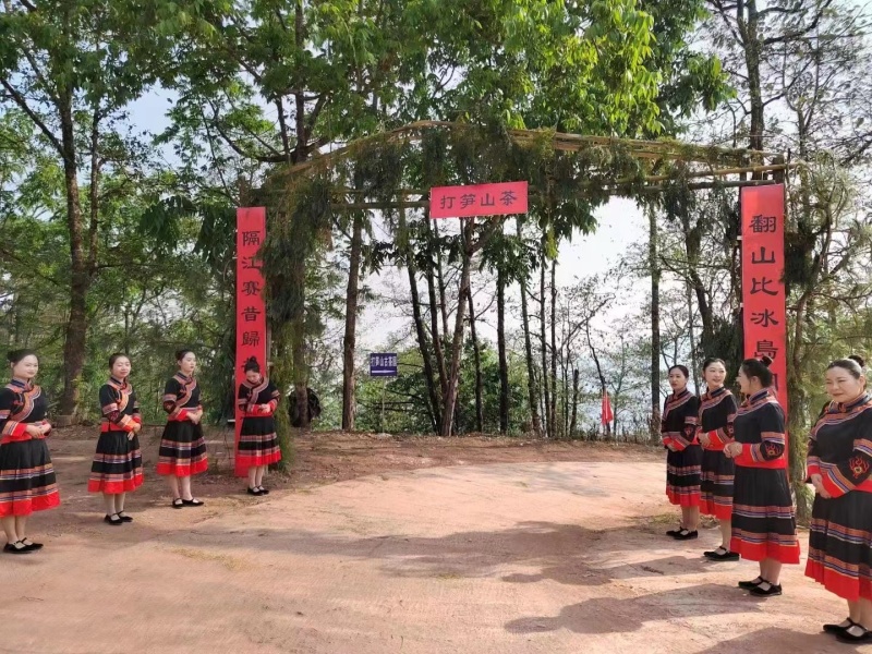 云南活鸡普洱镇沅瓢鸡产地直供视频看货欢迎来电咨询