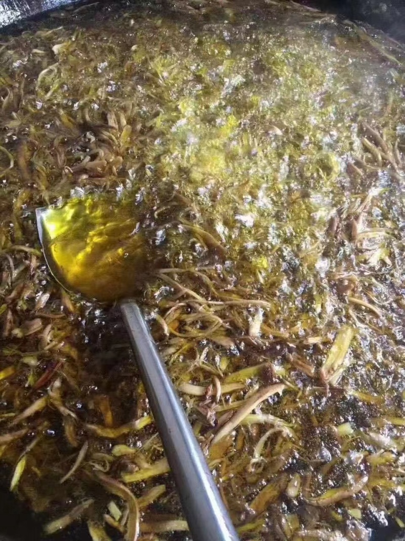 云南油鸡枞昆明特产油鸡枞产地直发货源充足欢迎来电订购