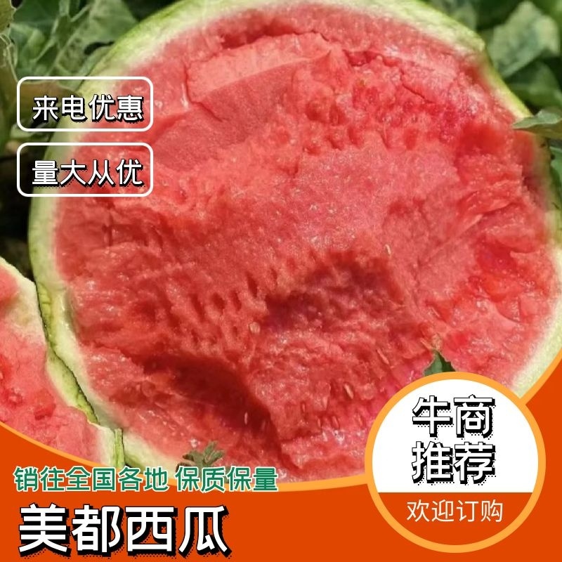 【精】云南西瓜西双版纳美都西瓜无籽产地直销欢迎电话联系