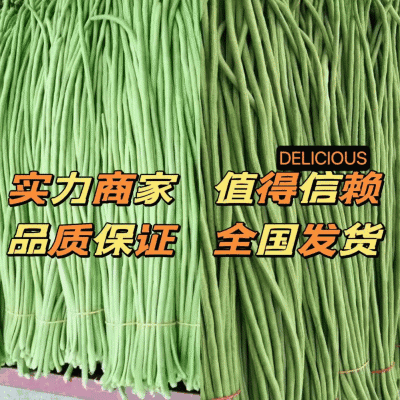 长豆角，豇豆，基地大量上市供应，《降价了》