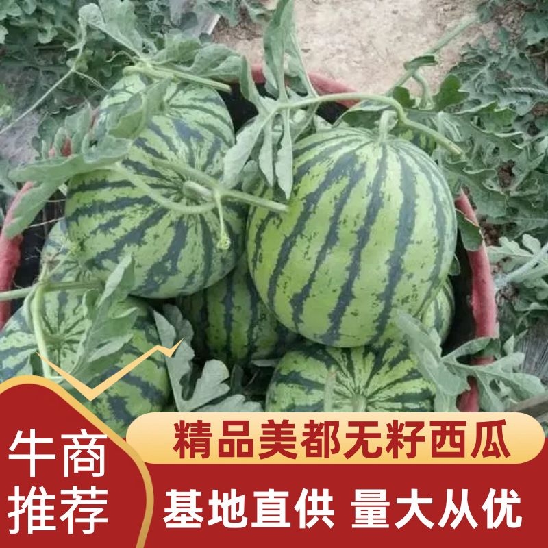 [无籽西瓜批发]陕西榆林靖边县西瓜 0.50元/斤陕西无籽美都西 _ 一亩田