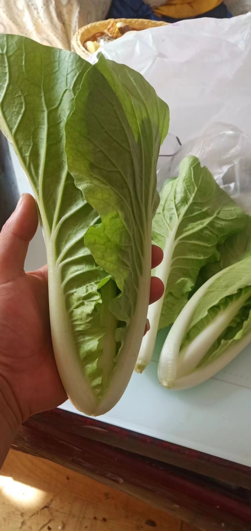 山东小白菜，精品快菜，货源充足，量大从优，欢迎采购