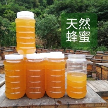 蜂蜜农家深山百花蜜农家野生成熟封盖土蜂