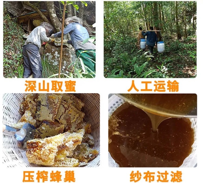 蜂蜜农家深山百花蜜农家野生成熟封盖土蜂