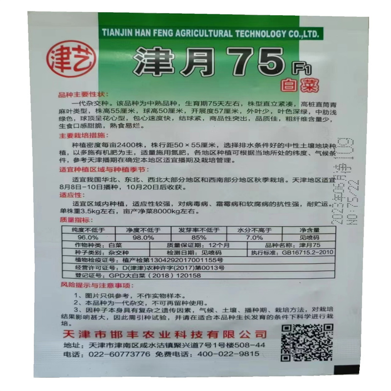 高桩直筒青麻叶白菜种子早熟天津青麻叶白菜种子口感脆甜
