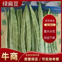 山西应县精品扁豆大量上市，质量好，货源充足，产地直供。