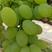 维多利亚葡萄1.5~2斤5%以下口感好欢迎抢购