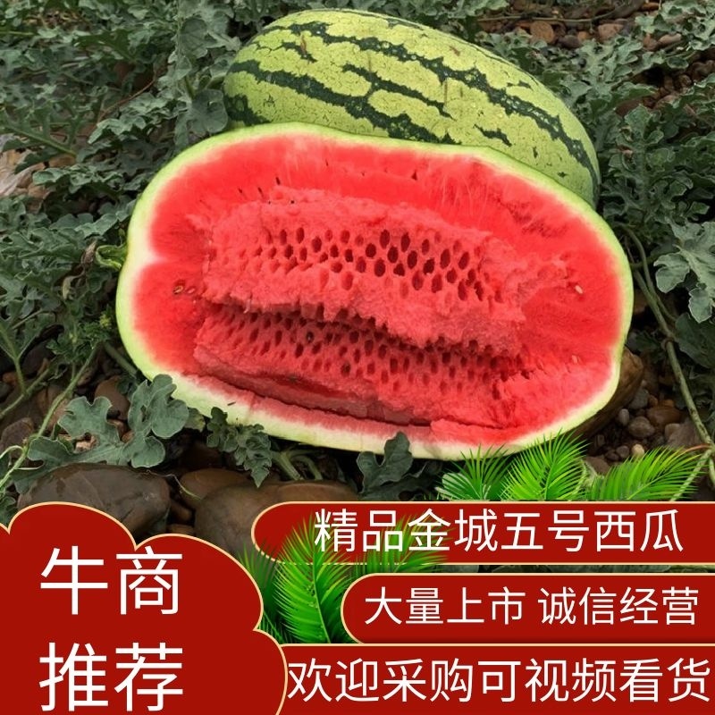 宁夏石头瓜硒砂瓜金城5号金花1号产地直发诚信经营全国发货