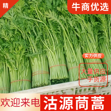 沈阳茼蒿，大量上市，实力代办一条龙服务。