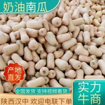 热销产品，优质奶油南瓜，种植面积大，价格便宜，诚信经营。