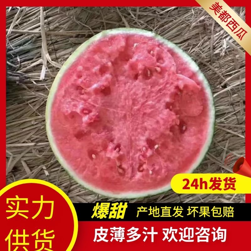 美都西瓜金城五号硒砂瓜品质保障一手货源现摘现发