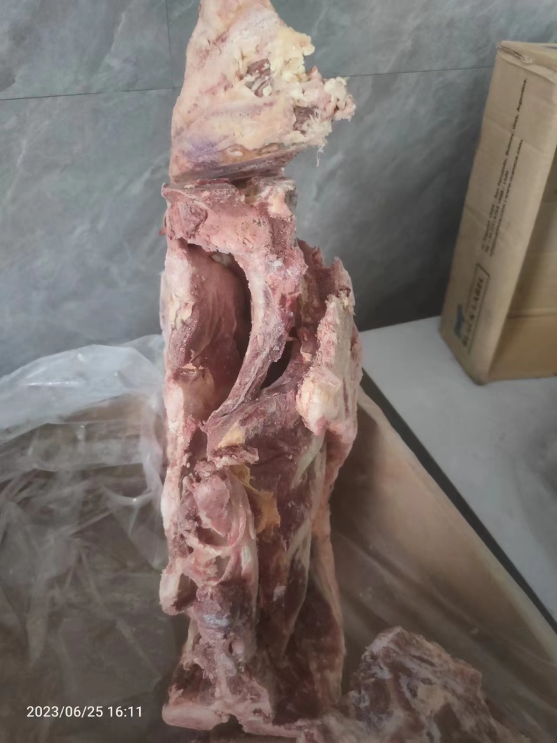 优质牛肋排带排腰椎骨工厂直发质量保证全国发货欢迎采购