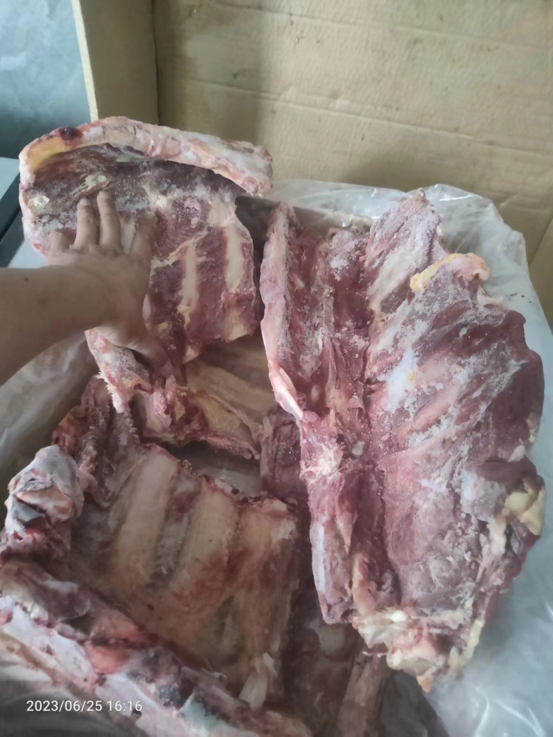优质牛肋排带排腰椎骨工厂直发质量保证量大从优欢迎采购