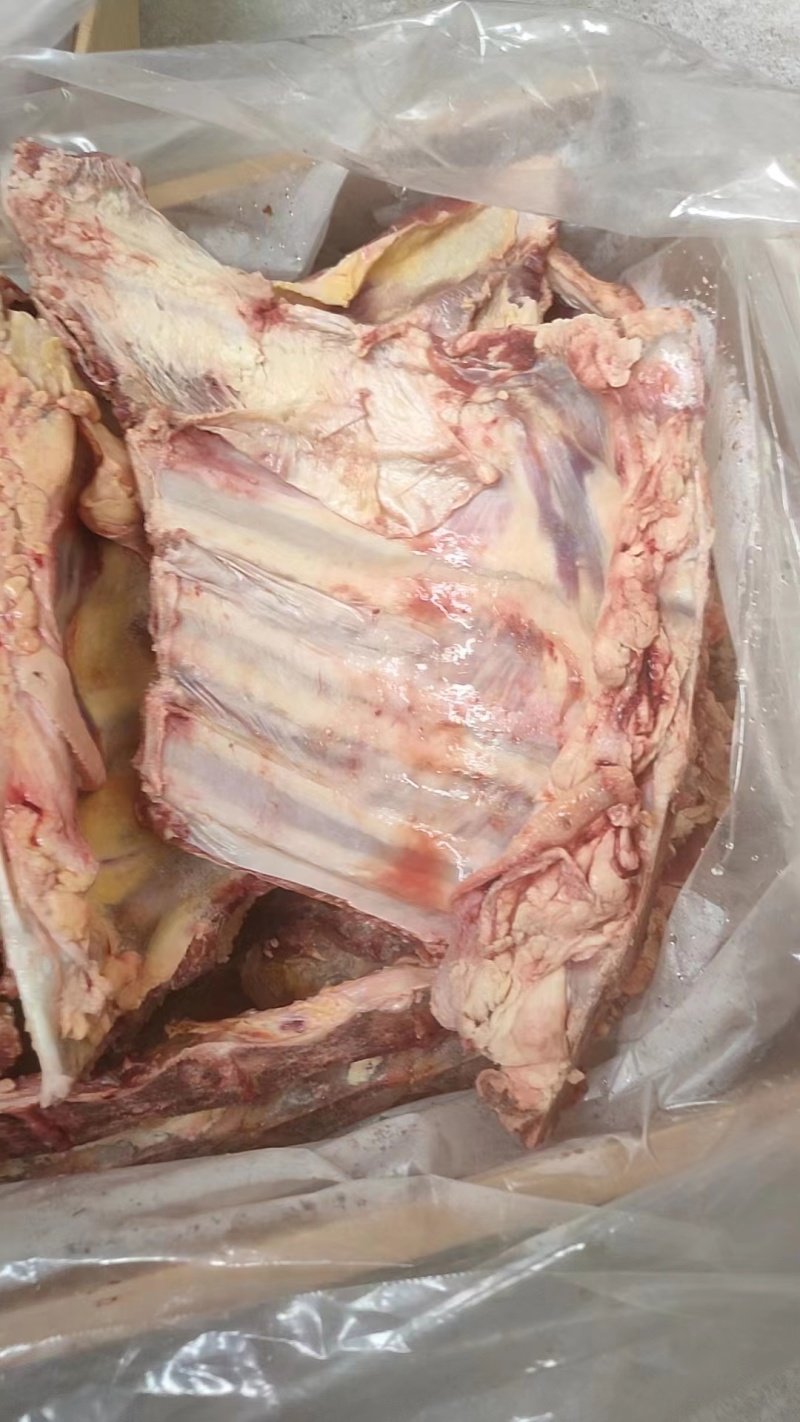 优质牛肋排带排腰椎骨工厂直发质量保证量大从优欢迎采购