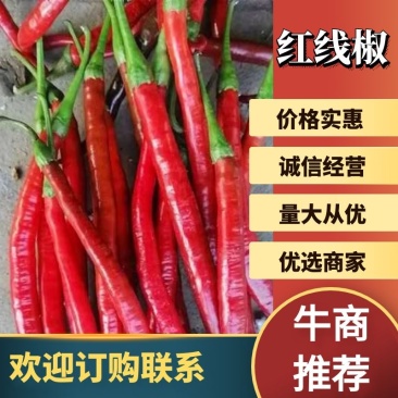 安徽阜阳红线椒产地直销质量保障对接全国欢迎订购